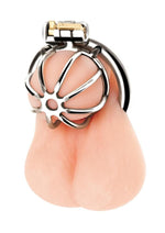 Load image into Gallery viewer, Blue Line Little Cock Chastity Cage - Stainless - Steel