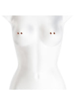 Load image into Gallery viewer, Bound Nipple Clamps M1