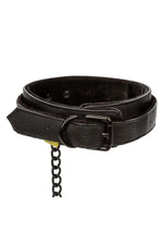 Load image into Gallery viewer, Boundless Collar and Leash