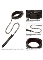 Load image into Gallery viewer, Boundless Collar and Leash