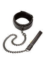 Load image into Gallery viewer, Boundless Collar and Leash - Black