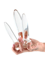 Load image into Gallery viewer, Crystal Trainer Glass Anal Plugs Kit