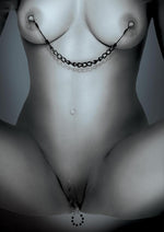 Load image into Gallery viewer, Fetish Fantasy Series Limited Edition Nipple and Clitoral Jewelry - Black