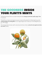Load image into Gallery viewer, Flintts Mints Mouth Watering Oral Delights - Sour Tangerine