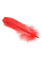 Load image into Gallery viewer, Frisky Anal Itch Relief Inc Prank Gift - Red