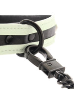 Load image into Gallery viewer, Glo Bondage Glow In The Dark Collar and Leash