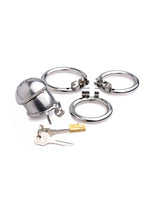 Load image into Gallery viewer, Master Series Exile Deluxe Locking Confinement Cage - Gray