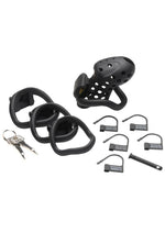Load image into Gallery viewer, Master Series Lock Down Chastity Cage