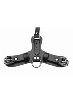 Load image into Gallery viewer, Master Series Pup Puppy Play Hood + Breathable Ball Gag