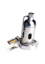Load image into Gallery viewer, Master Series Spike Chamber Chastity Cage - Stainless