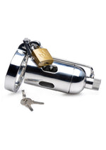 Load image into Gallery viewer, Master Series Spike Chamber Chastity Cage - Stainless - Steel