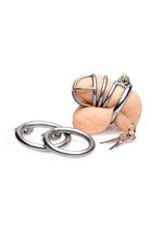 Load image into Gallery viewer, Master Series The Pen Deluxe Locking Chastity Cage - Gray
