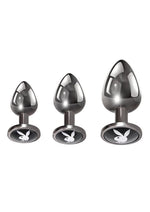 Load image into Gallery viewer, Playboy Pleasure 3 Ways Metal Anal Training Kit