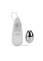 Load image into Gallery viewer, Pocket Exotics Vibrating Silver Egg - Silver