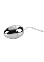 Load image into Gallery viewer, Pocket Exotics Vibrating Silver Egg