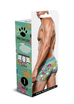 Load image into Gallery viewer, Prowler Beach Trunk