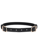 Load image into Gallery viewer, Sex and Mischief Double Buckle Day Collar