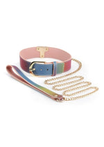 Load image into Gallery viewer, Spectra Bondage Collar and Leash - Multicolor/Rainbow