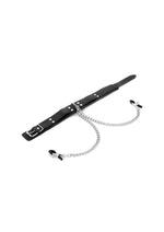 Load image into Gallery viewer, Sportsheets Collar with Nipple Clamps