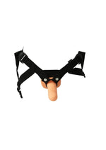 Load image into Gallery viewer, Sportsheets Everlaster Stud Hollow Dong with Strap-On Harness