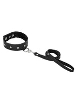 Load image into Gallery viewer, Sportsheets Leather Leash and Collar