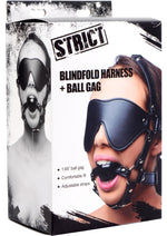 Load image into Gallery viewer, Strict Eye Mask Harness with Ball Gag - Black