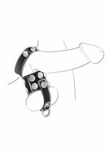 Load image into Gallery viewer, Ballgear Ball Stretcher with Separator and D-Ring
