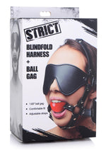Load image into Gallery viewer, Blindfold Harness with Ball Gag - Black/Red
