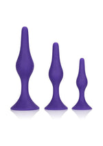 Load image into Gallery viewer, Booty Call Booty Trainer Starter Kit Silicone Anal Plugs 3 Assorted Sizes - Purple

