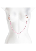 Load image into Gallery viewer, Bound Nipple Clamps Dc1
