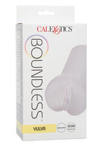 Load image into Gallery viewer, Boundless Vulva Masturbator - Clear/Frost
