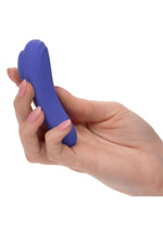 Load image into Gallery viewer, Calexotics Connect Panty Teaser Rechargeable Silicone App Compatible Vibrator with Remote
