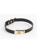 Load image into Gallery viewer, Fetish and Fashion Sadie Collar - Black/Gold
