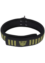 Load image into Gallery viewer, Fort Troff Tactical Collar and Leash

