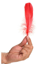 Load image into Gallery viewer, Frisky Anal Itch Relief Inc Prank Gift

