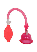Load image into Gallery viewer, In A Bag Pussy Pump
