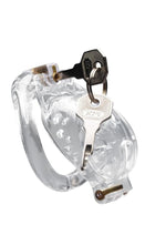 Load image into Gallery viewer, Master Series Double Lockdown Locking Customizable Chastity Cage - Clear
