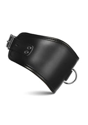 Master Series Hard Stance Padded Lock Posture Collar - Black