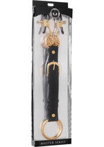 Load image into Gallery viewer, Master Series Penitentiary Nipple Clamps and Cock Ring - Black - Set
