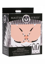 Load image into Gallery viewer, Master Series Spread Labia Spreader Straps with Clitoral Clamps - Black

