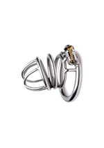 Load image into Gallery viewer, Master Series The Pen Deluxe Locking Chastity Cage
