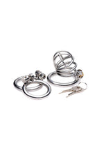 Load image into Gallery viewer, Master Series The Pen Deluxe Locking Chastity Cage - Gray
