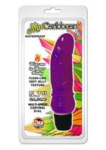 Load image into Gallery viewer, Mini Caribbean Number 4 Vibrator - Purple