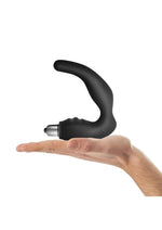 Load image into Gallery viewer, Naughty Boy Silicone Prostate and Perineum Stimulator
