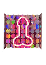 Load image into Gallery viewer, Neon Light Up Penis Sign - Pink/Silver

