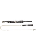 Load image into Gallery viewer, Ouch! Ny Collection Collar with Leash
