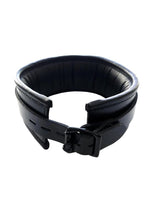 Load image into Gallery viewer, Padded Leather Collar
