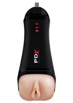 Load image into Gallery viewer, Pipedream Extreme Elite Rechargeable Talk-Back Super Masturbator - Pussy
