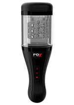 Load image into Gallery viewer, Pipedream Extreme Elite Rechargeable Talk Dirty Rotobator Masturbator - Pussy - Black/Clear/Flesh