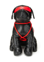 Load image into Gallery viewer, Prowler Red Roped Up Rover - Black/Red - Large
